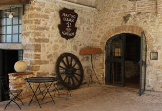 bannerfarfa1